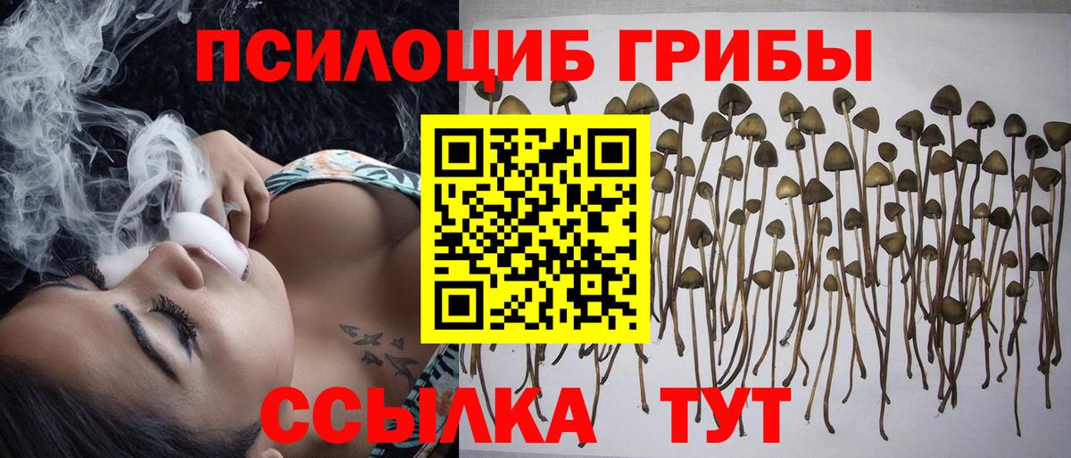 Галлюциногенные грибы мухоморы  Вход с VPN  Саров 